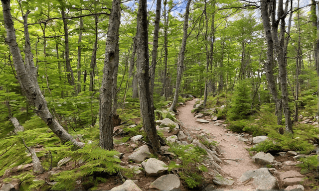 New Hampshire Hiking Bliss.