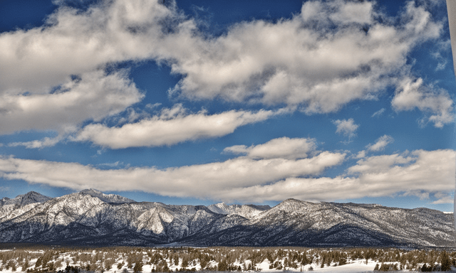 "Discover the breathtaking beauty of Mount Charleston in Nevada."