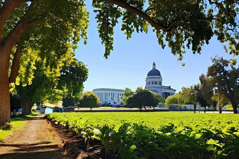 Sacramento: Facts Behind its Farm-to-Fork Capital Status